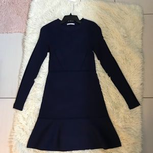Zara Knit Dress